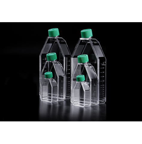 SPL Cell Culture Flask