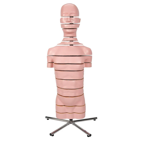 Mô hình thân MRI với 15 mặt cắt ngang - 3B Smart Anatomy