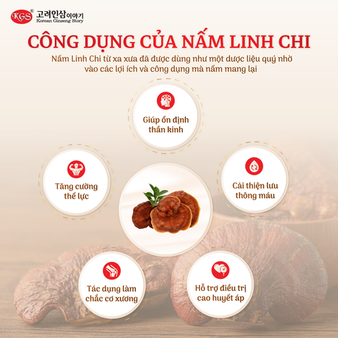 Hộp 30 Gói Nước Hồng Sâm Linh Chi KGS 1500ml (50ml/ gói)