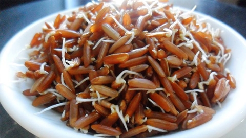 Bột mầm gạo lứt