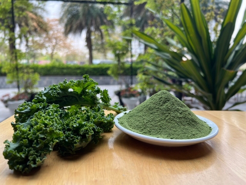 Bột cải kale