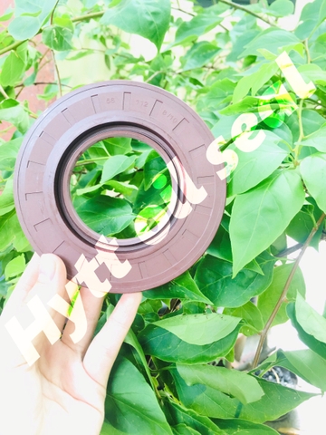 PHỐT XE HƠI TB 56*112*8/10