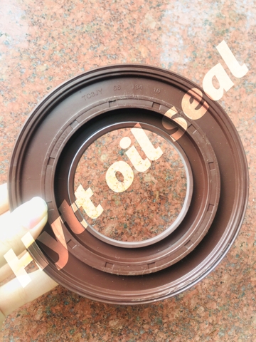 PHỐT XE HƠI TB 66*134*16