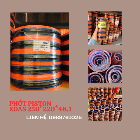 PHỚT PISTON THỦY LỰC KDAS 250*220*48.1 (220*250*48.1 das)