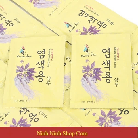 VĨ BÀN CHẢI XINGMAI ( 4 CÂY ) - M153