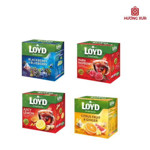 Trà trái cây Loyd 40g