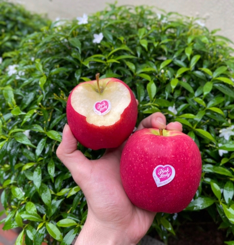 Táo Pink lady