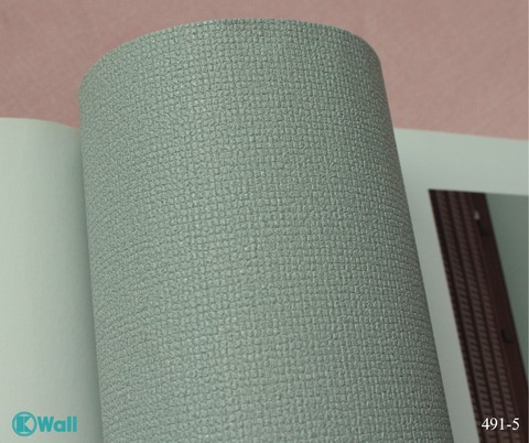 Giấy dán tường một màu Hàn Quốc Basic+ 491-5