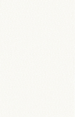 Giấy dán tường vân vải The View 3011