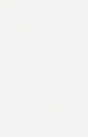 Giấy dán tường vân vải bố The View 3013