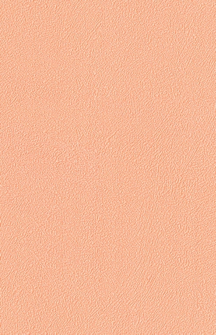 Giấy dán tường họa tiết sơn tường Plain 420