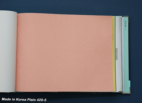 Giấy dán tường họa tiết sơn tường Plain 420