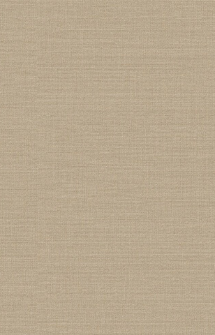 Giấy dán tường một màu Hàn Quốc Basic+ 485-5