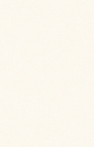 Giấy dán tường một màu Hàn Quốc Basic+ 488-2