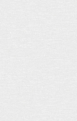 Giấy dán tường một màu Hàn Quốc Basic+ 494-2