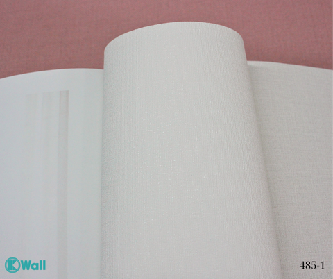 Giấy dán tường một màu Hàn Quốc Basic+ 485-1