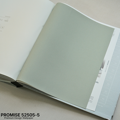 Giấy dán tường Hàn Quốc PROMISE 52505-5