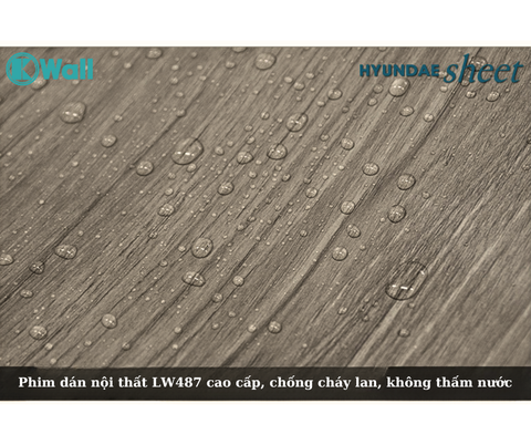 Phim dán nội thất cao cấp nhập khẩu Hàn Quốc LW487