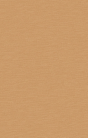 Giấy dán tường một màu Hàn Quốc Fiore 81216