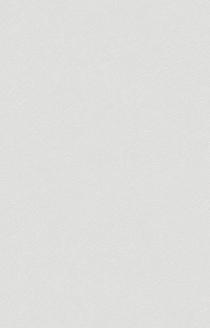 Giấy dán tường Hàn Quốc PROMISE 52517-2