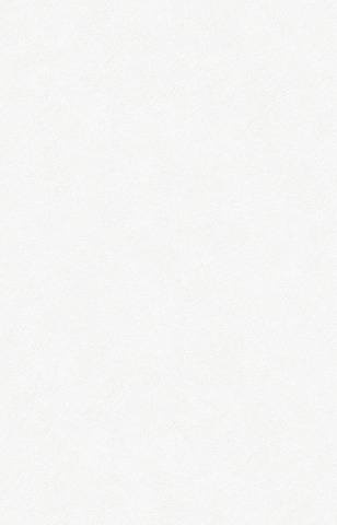 Giấy dán tường Hàn Quốc PROMISE 52517-1