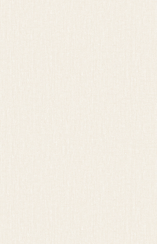 Giấy dán tường Hàn Quốc PROMISE 52512-2