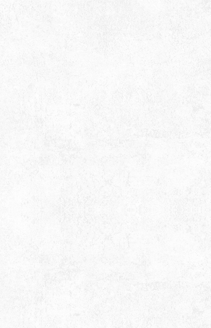 Giấy dán tường Hàn Quốc PROMISE 52523-1