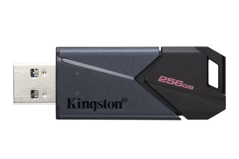 USB Kingston 256G