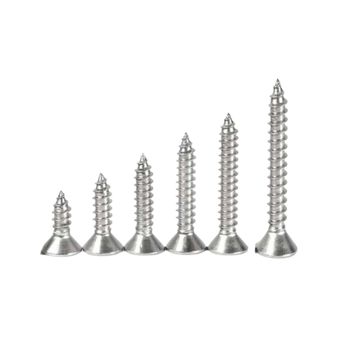 STAINLESS STEEL SCREWS