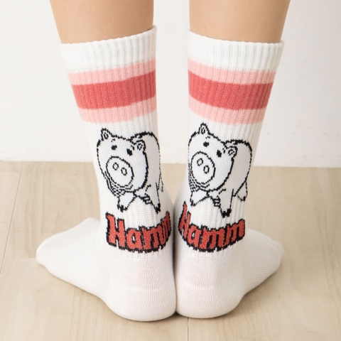 Hamm and Rex Toy Story socks