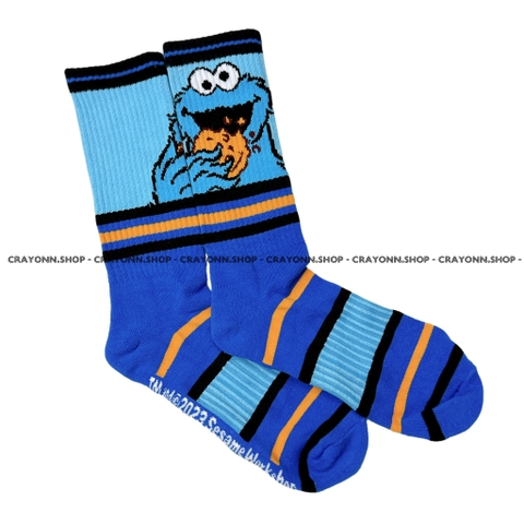 Sesame Street Socks