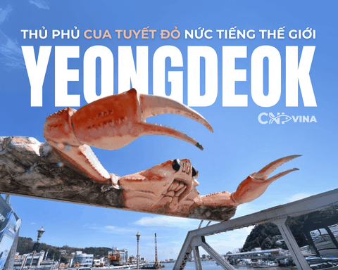 Khám Phá Yeongdeok - Thủ Phủ Cua Tuyết Đỏ Nức Tiếng Thế Giới