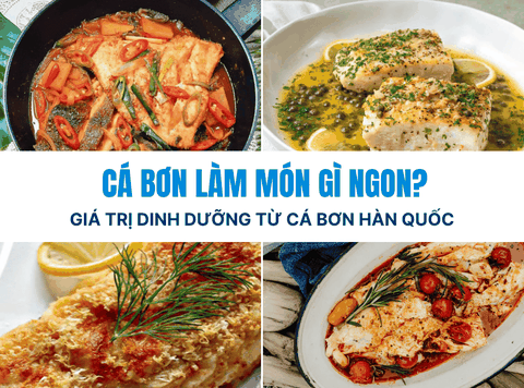 Cá Bơn Hàn Quốc Làm Món Gì Ngon? Giá Trị Dinh Dưỡng Của Cá Bơn