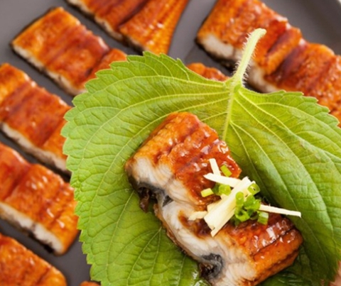 Lươn Biển Nướng Hàn Quốc – Món Ngon Cao Cấp, Giàu Dinh Dưỡng