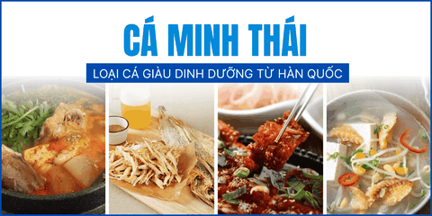 Tất tần tật về Cá Minh Thái: Loại Cá Giàu Dinh Dưỡng Đến Từ Hàn Quốc