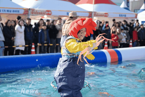 Lễ hội Cua tuyết đỏ Yeongdeok