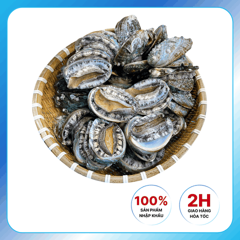 Bào Ngư Hàn Quốc Tươi Sống Nhập Khẩu Hàn Quốc Chế Biến Nướng, Cháo, Hầm 1Kg