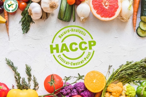 Dịch vụ chứng nhận HACCP – An toàn thực phẩm