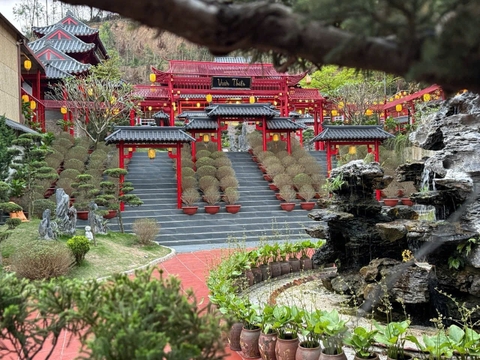 Tour Chùa Tam Chúc – Chùa Cây Thị 1 Ngày