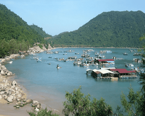 Tour Hà Nội - Quy Nhơn - Phú Yên 4N3Đ – Kỳ Co Eo Gió Gành Đá Đĩa