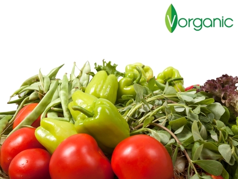 Tại sao bạn nên chọn sản phẩm Organic?