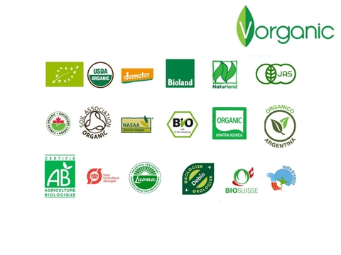 Các Tiêu Chuẩn Rau Củ Organic Đang Được Áp Dụng Tại Việt Nam Giới Thiệu
