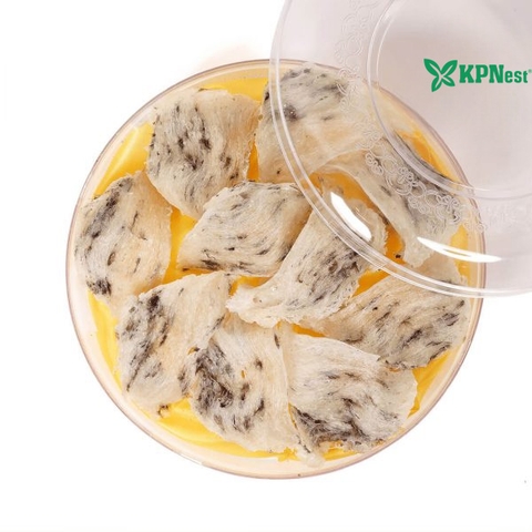 Tổ Yến Thô KPNest 50g