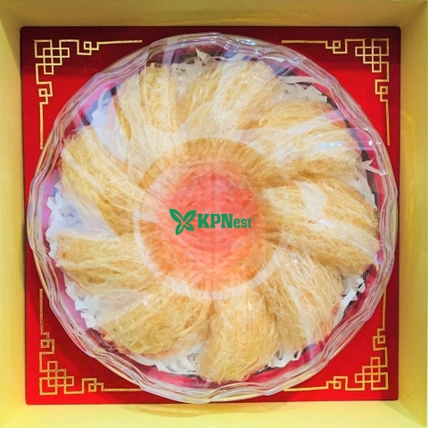 Tổ Yến Tinh Chế KPNest 100gr