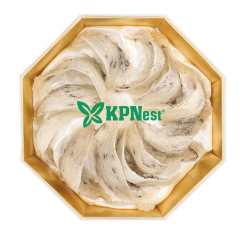 Tổ Yến Thô KPNest 100g