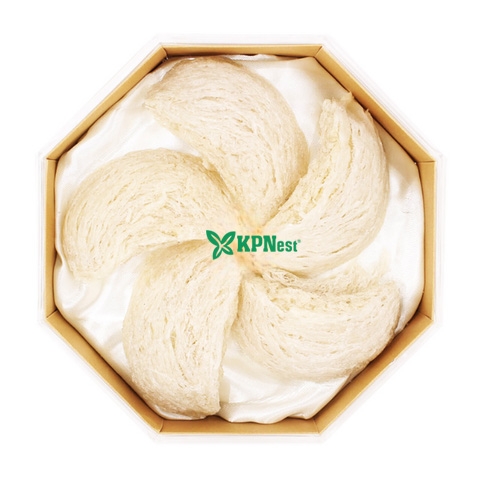 Tổ Yến Tinh Chế KPNest 50g