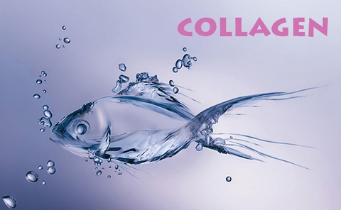 Collagen Cá