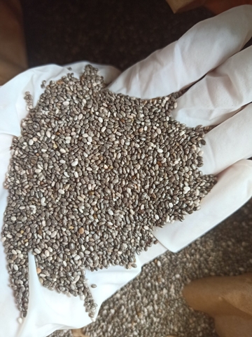 Hạt chia hữu cơ