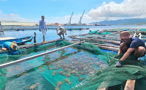 Đại Lãnh tìm động lực tăng trưởng từ kinh tế biển và du lịch