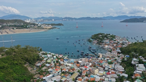 Thành lập Chi cục Thủy sản, Biển và Hải đảo trực thuộc Sở Nông nghiệp và Môi trường